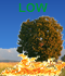 LOW Fire Danger