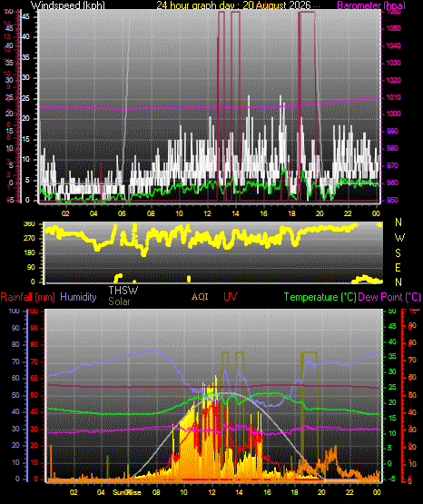 24 Hour Graph for Day 20
