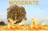 MODERATE Fire Danger
