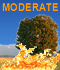 MODERATE Fire Danger
