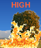 HIGH Fire Danger